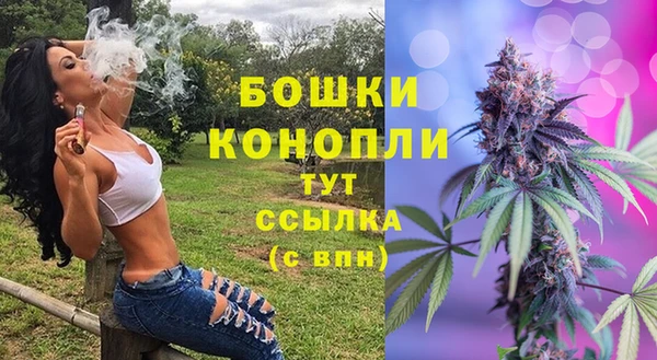 ECSTASY Белокуриха